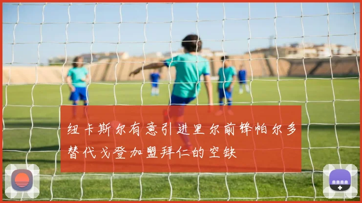 纽卡斯尔有意引进里尔前锋帕尔多替代戈登加盟拜仁的空缺
